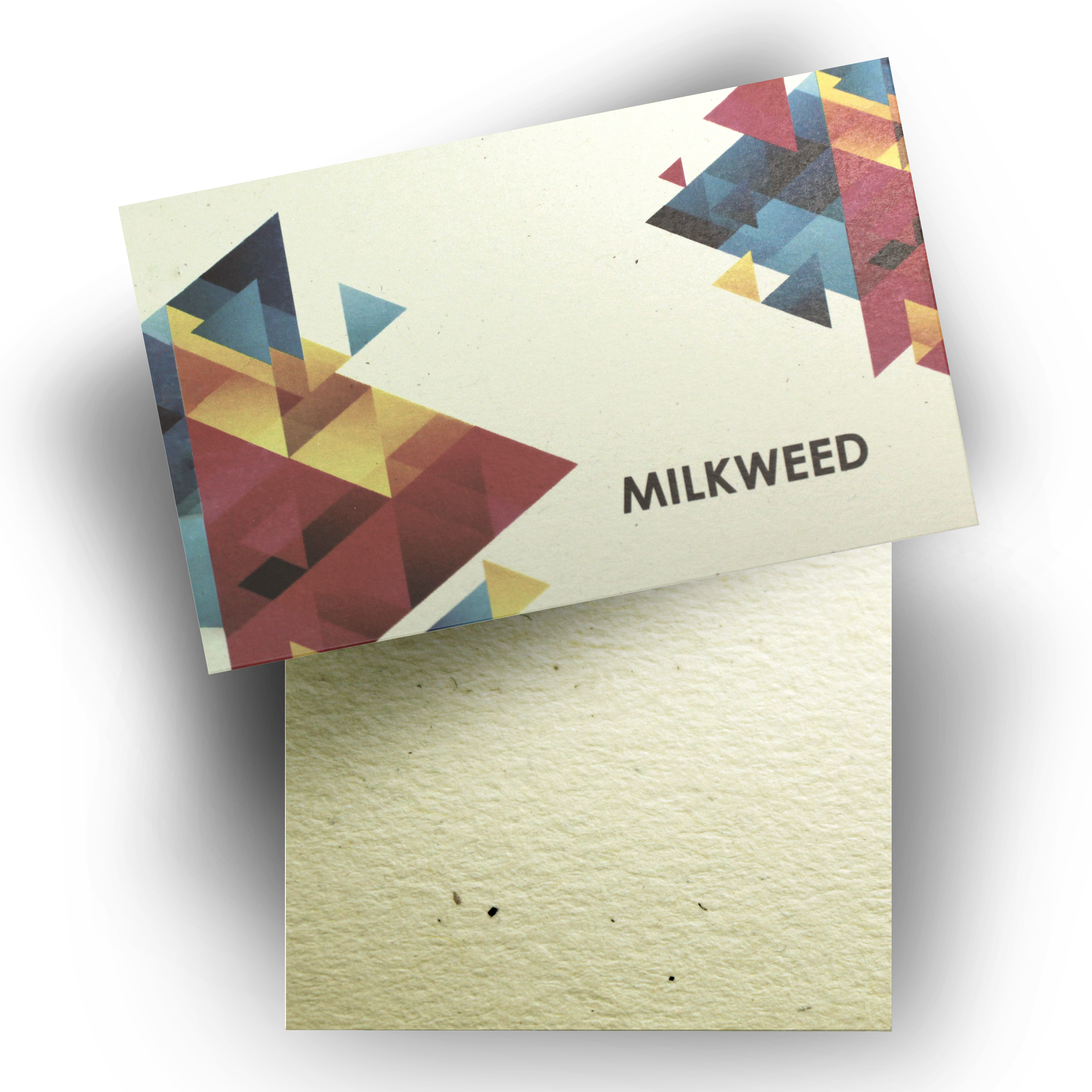 Milkweed